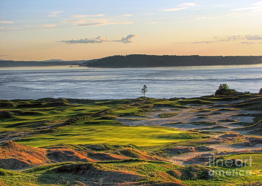 Pax - Chambers Bay Golf Course Photograph by Chris Anderson