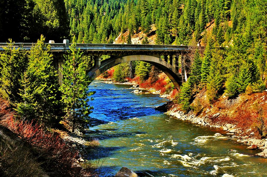 Tree Photograph - Payette River Scenic Byway by Benjamin Yeager