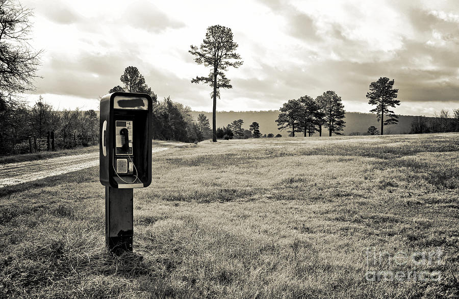 PayPhone Photograph by Tammy Chesney