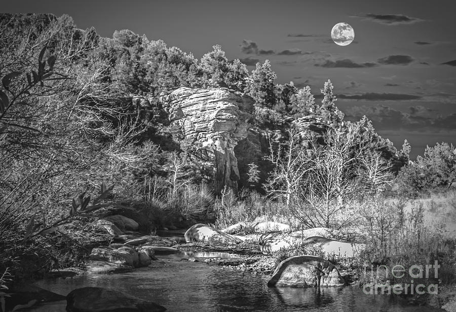 Payson Moon Photograph by Randy Jackson