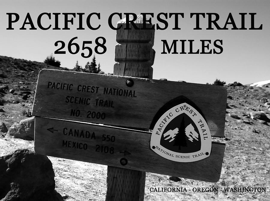 Pacific Crest Trail Photograph - PC trail 2658 miles by David Lee Thompson