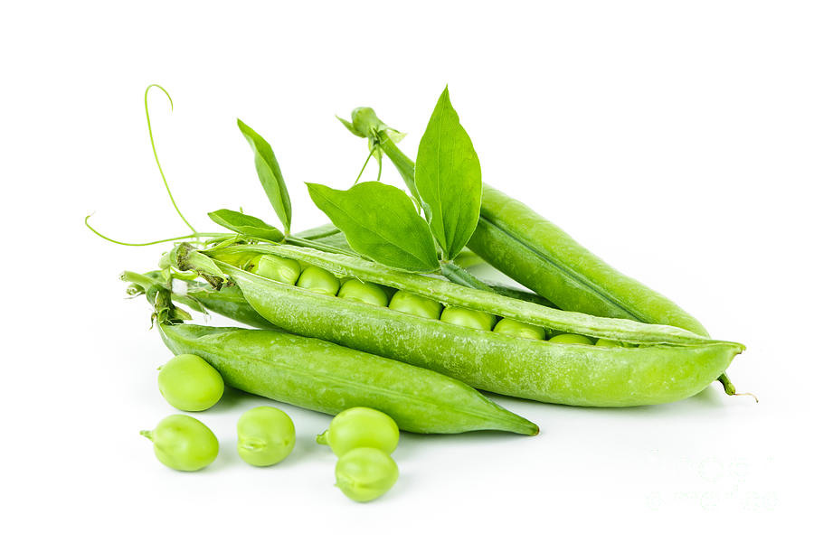Vegetable Photograph - Pea pods and green peas by Elena Elisseeva