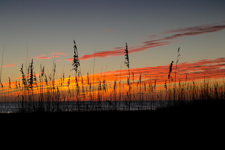 Sunset Photograph - Peace and Love by Melanie Moraga