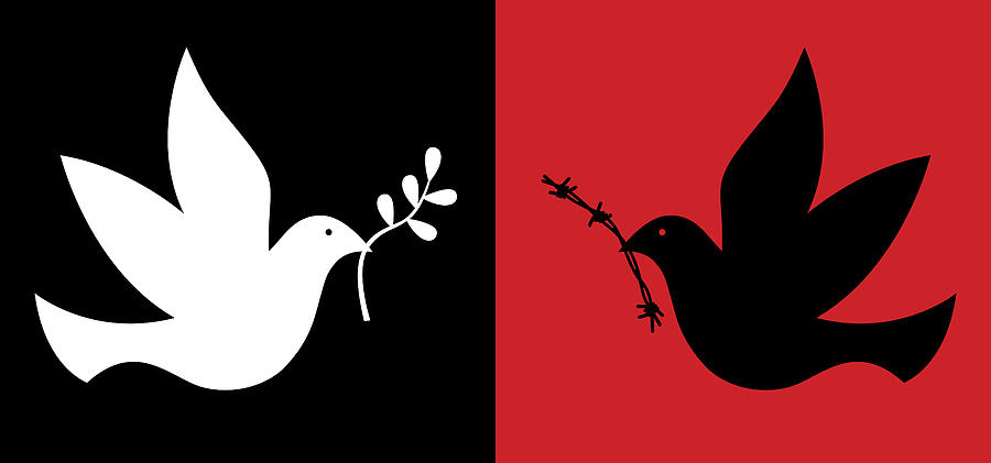 Peace And War Doves Drawing by RobinOlimb
