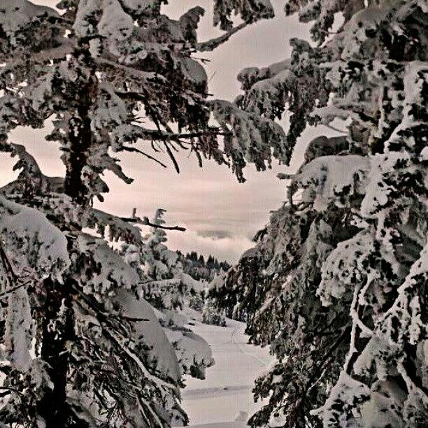 Snow Photograph - Peace. Be. Still. #snow#mtashland#oregon by Kristen Lyles