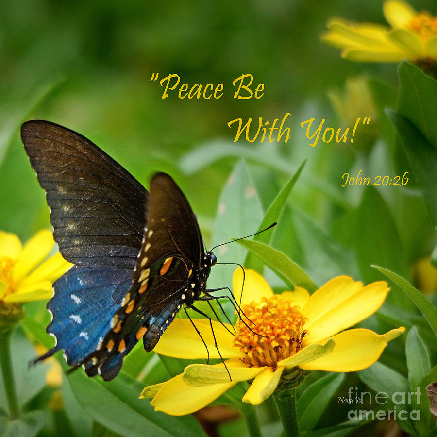 Peace Be With You Photograph by Nava Thompson