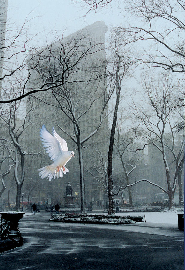 New York City Photograph - Peace by David Klaboe