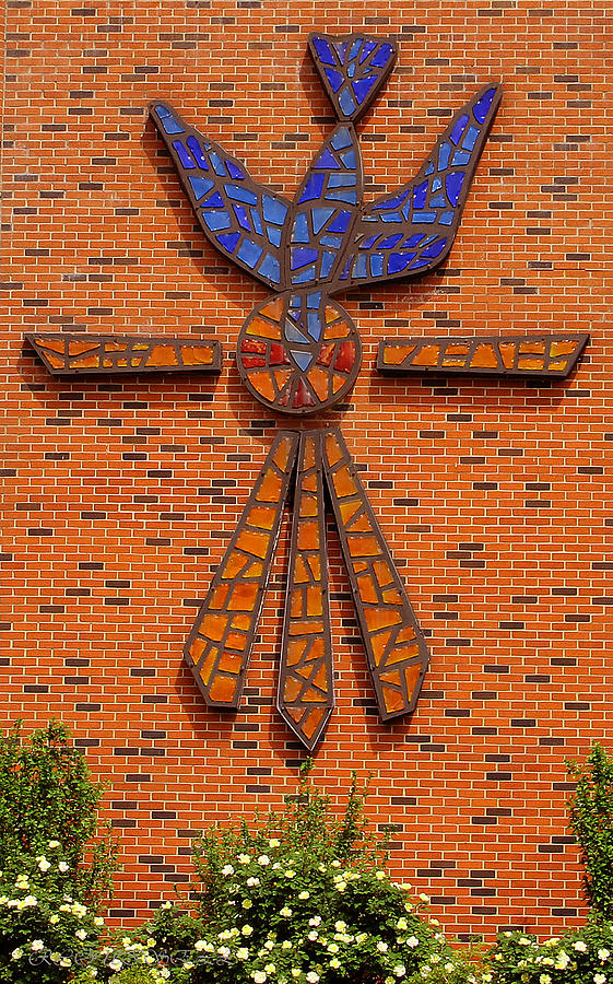 Digital Photograph - Peace Dove 5 of 2013 by Robyn Louisell Digital Photograph - Peace Dove 5 of 2013 by Robyn Louisell