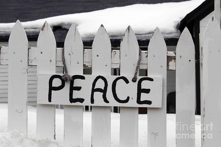 Peace Photograph by Fiona Kennard