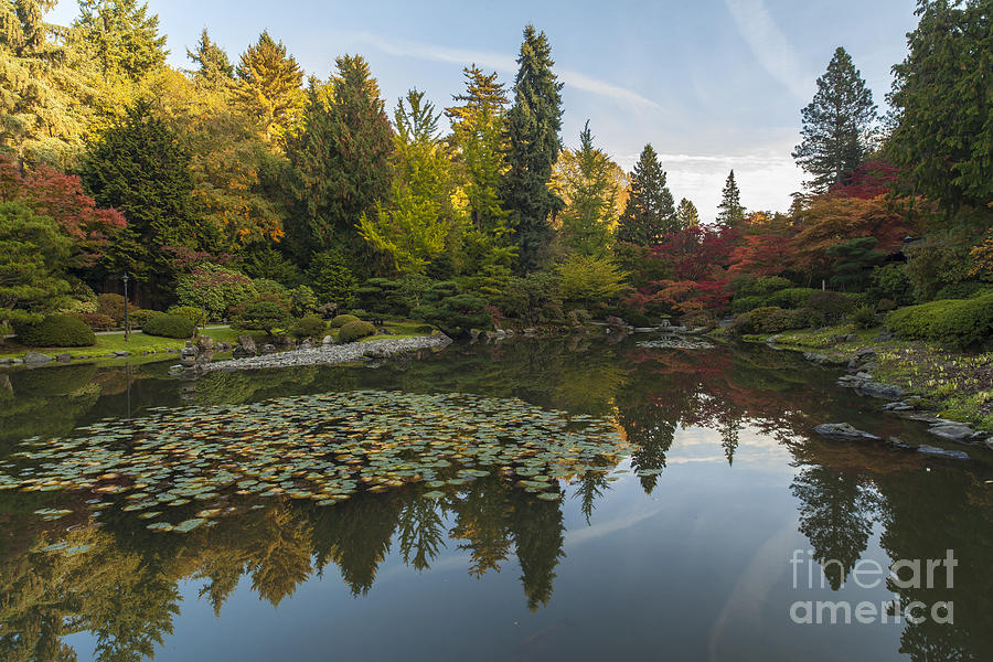 Peace in the Fall Garden Photograph by Mike Reid - Fine Art America