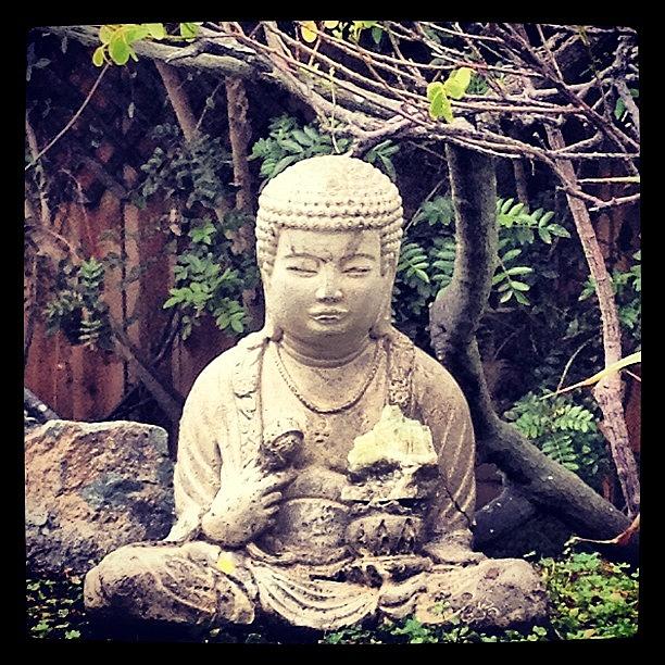 Buddha Photograph - Peace In The Garden  by Michele Beere
