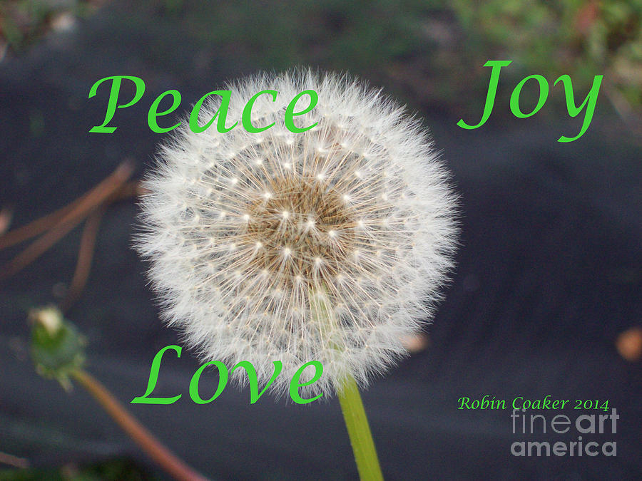 Peace Joy and Love Photograph by Robin Coaker