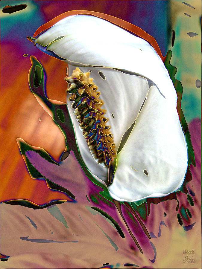 Peace Lily Abstract Photograph by Dee Flouton