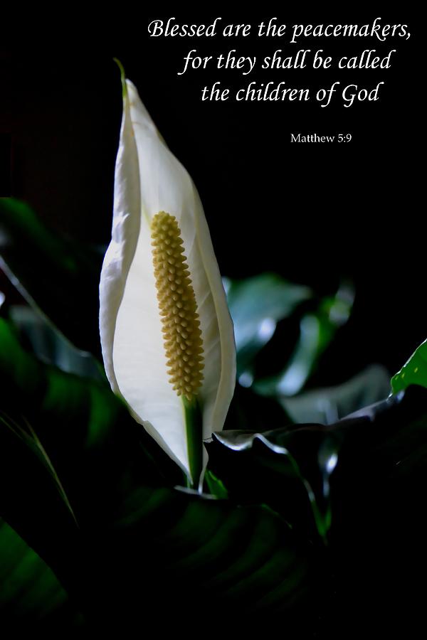Peace Lily Photograph by Deena Stoddard