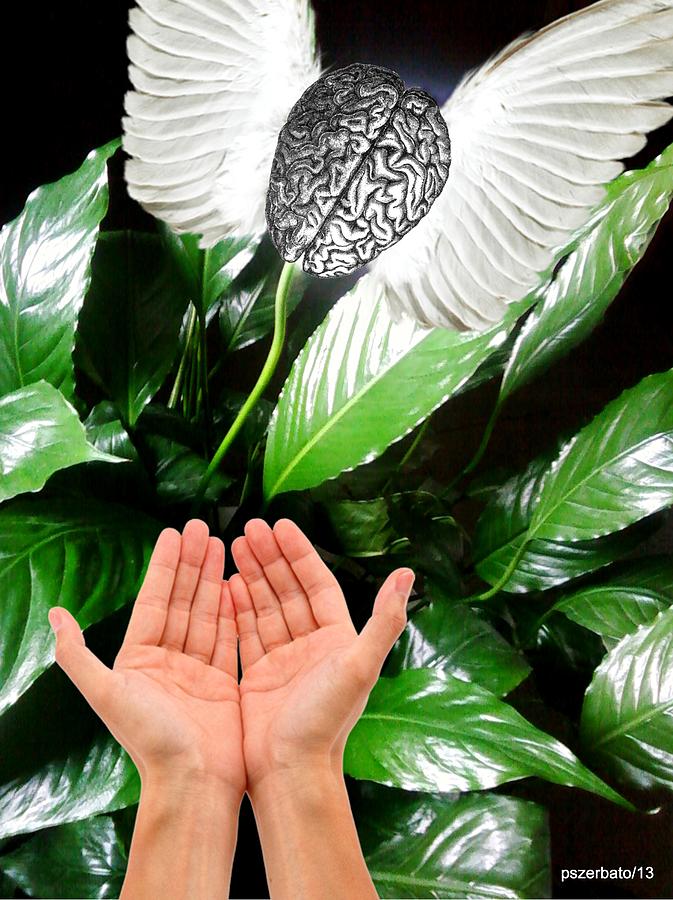 Peace Lily For The Consciousness Digital Art by Paulo Zerbato