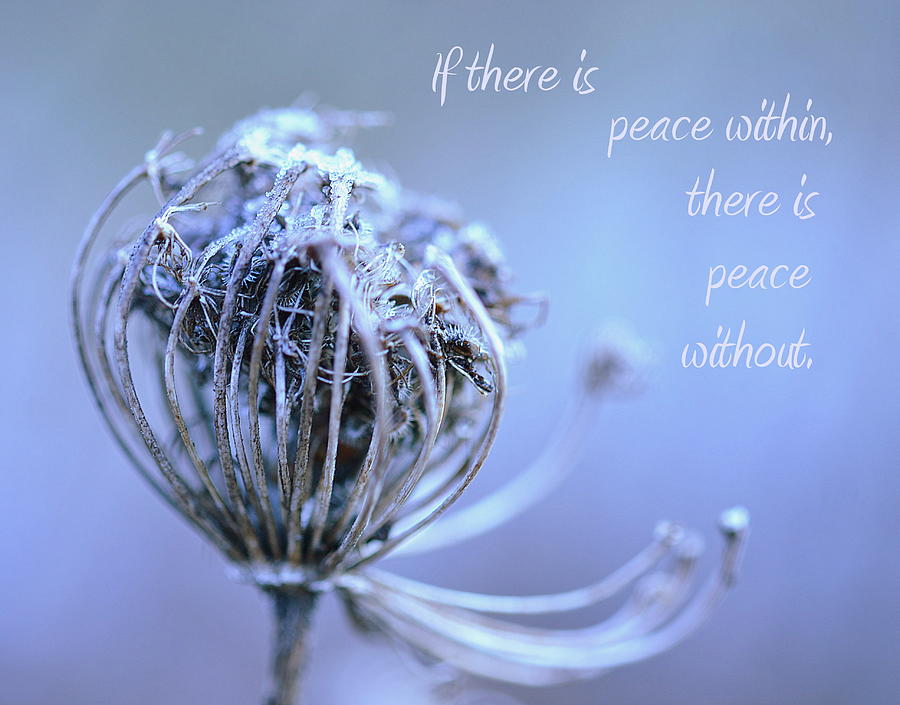 Peace Photograph by Michelle Ayn Potter