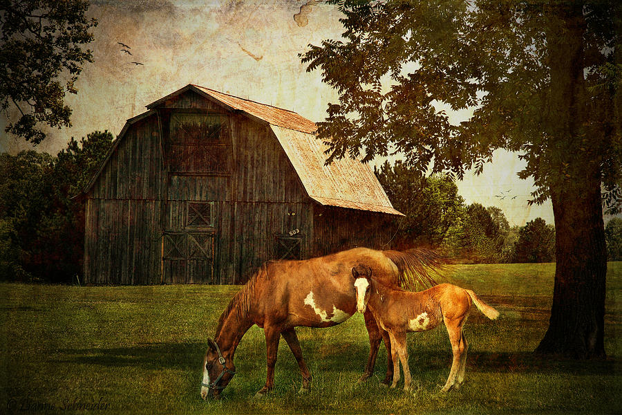 Peace of country living Digital Art by Lianne Schneider