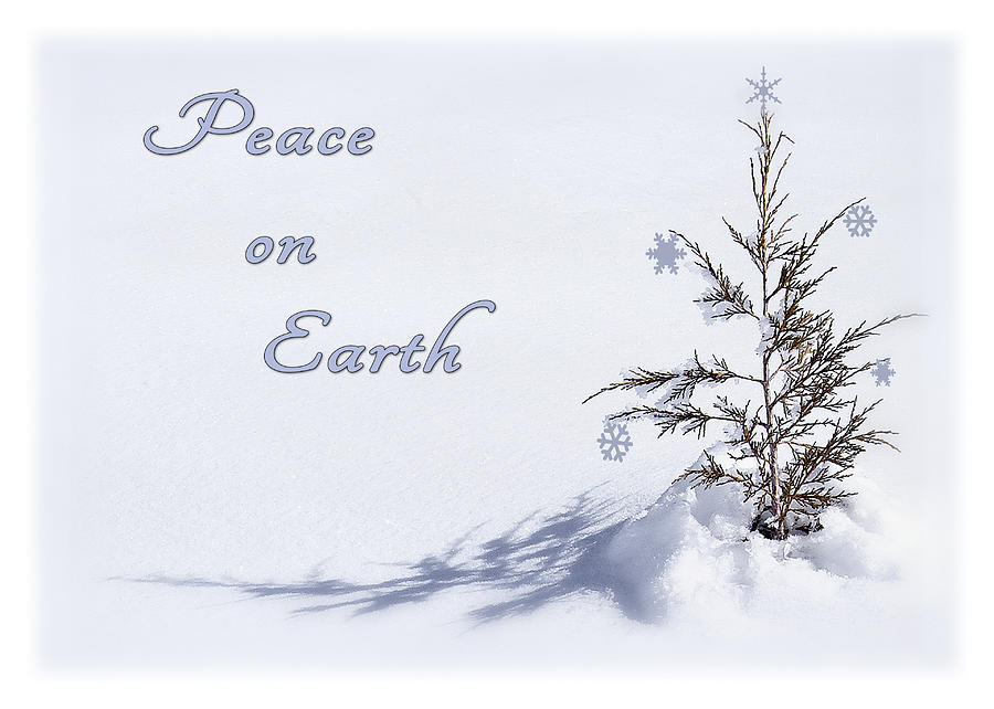 Christmas Photograph - Peace on Earth 2 by Priscilla Burgers