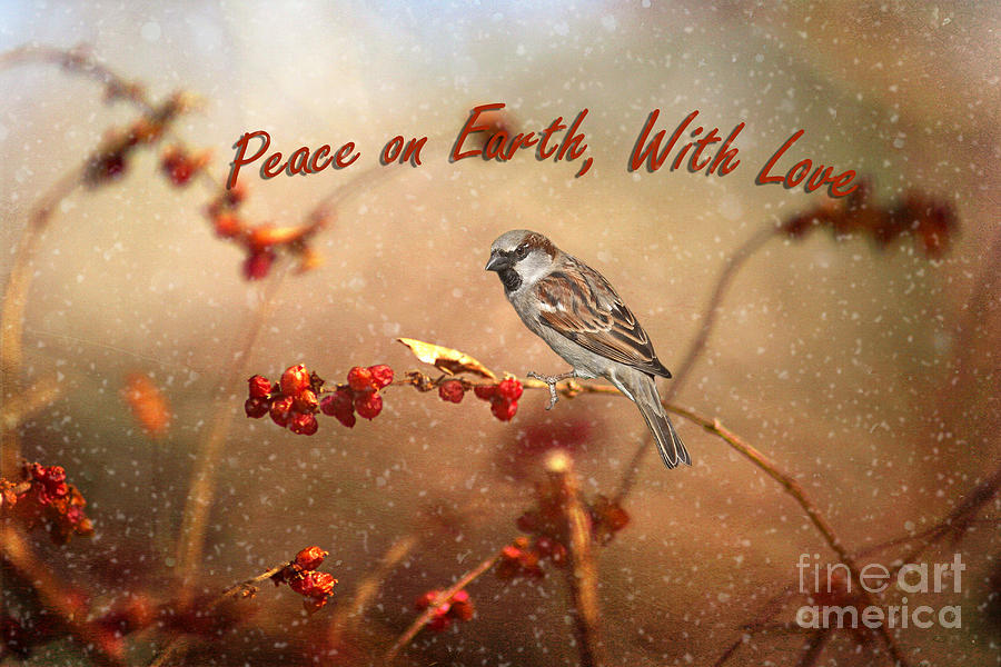 Peace On Earth Photograph by Darren Fisher
