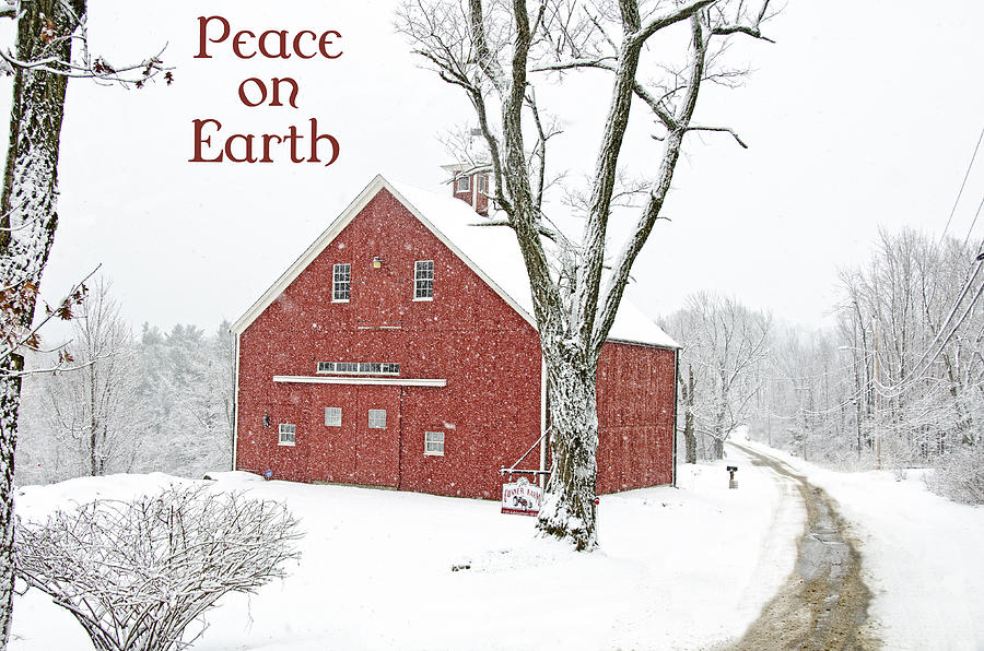 Christmas Photograph - Peace on Earth Holiday by Donna Doherty