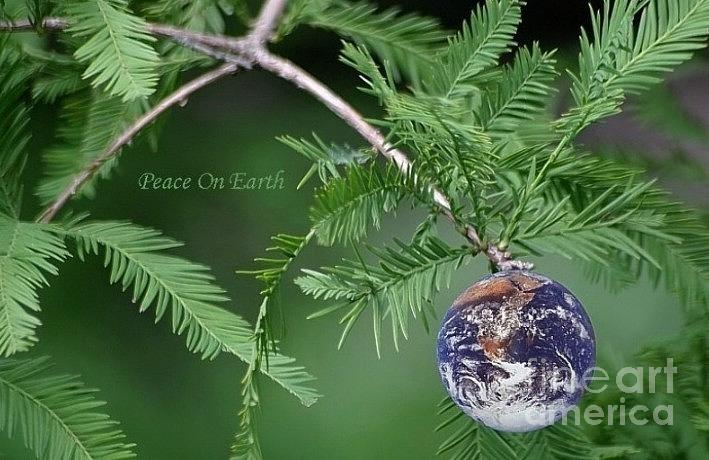 Peace On Earth Photograph by Living Color Photography Lorraine Lynch