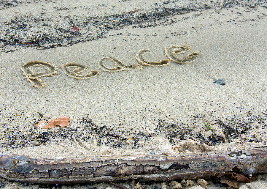 Peace On Earth Photograph by Melinda Fawver