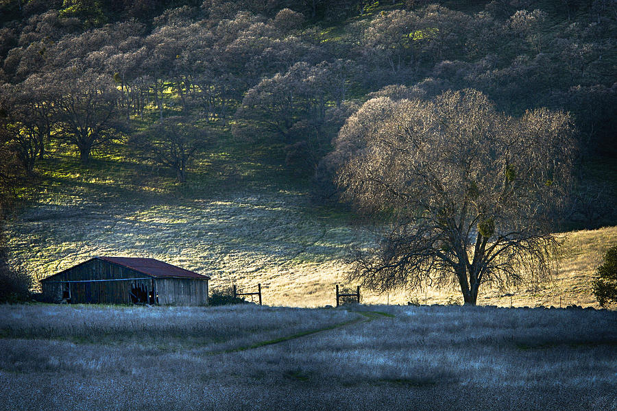 Peace Valley Barn Photograph by Robert Woodward