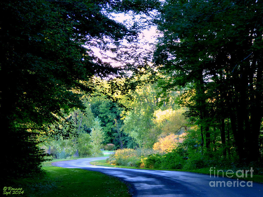 Tree Photograph - Peaceful Afternoon by Rennae Christman