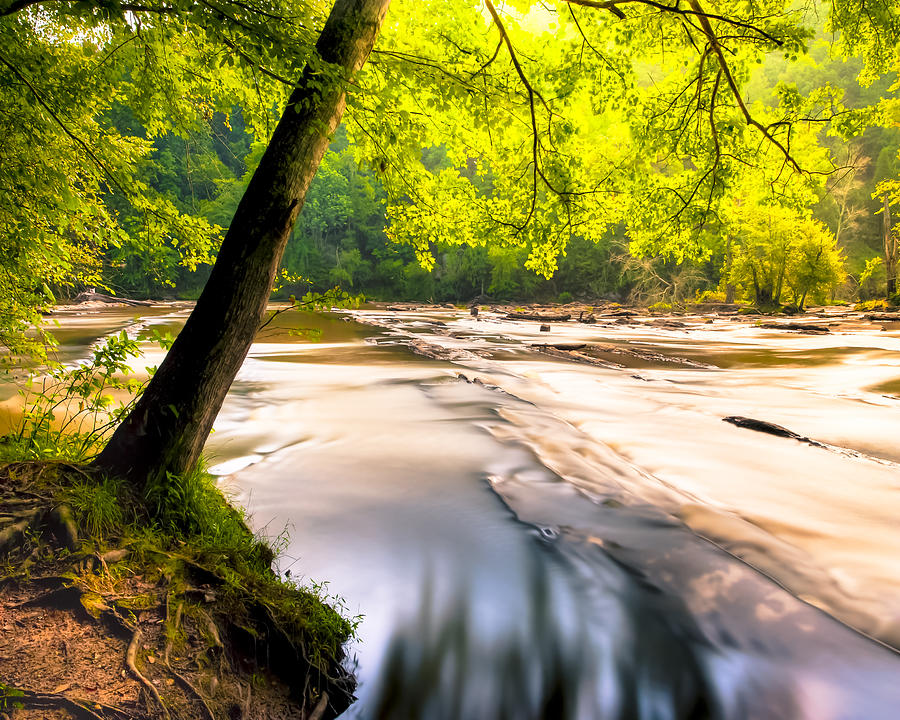 Peaceful Banks of Sweetwater Creek Photograph by Mark E Tisdale