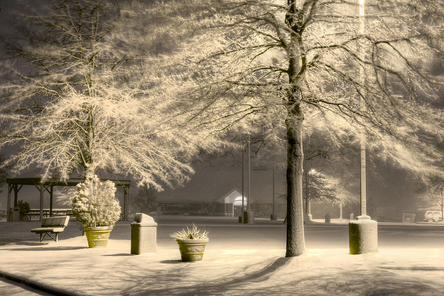 Winter Photograph - Peaceful Blizzard by JC Findley