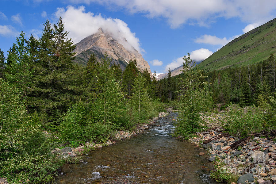 Peaceful Brook Photograph by Charles Kozierok