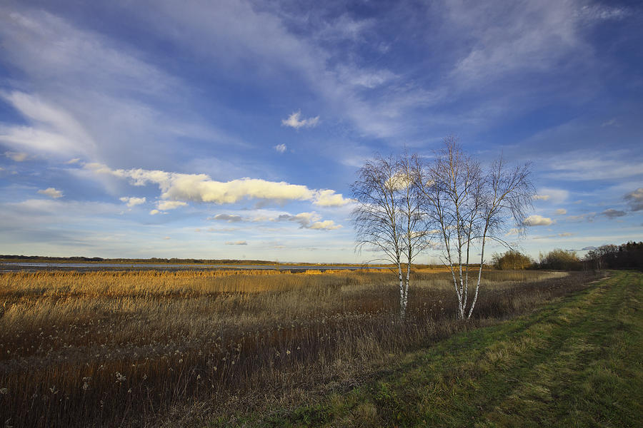 Peaceful countryside Photograph by Ivan Slosar