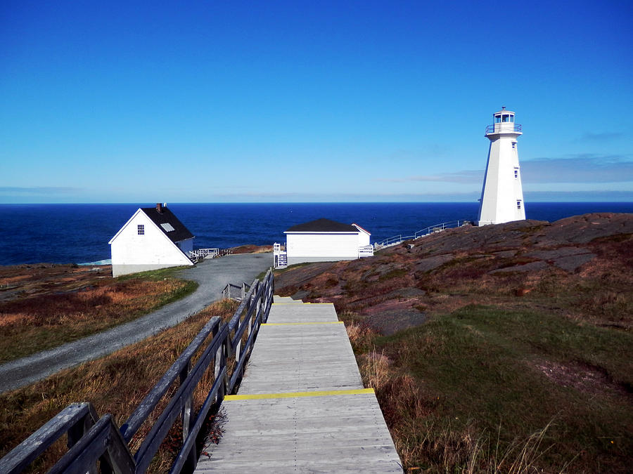 Peaceful Day at Cape Spear Photograph by Zinvolle Art
