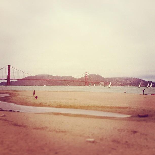 Peaceful Day At The Ggb Photograph by Meredith Leah