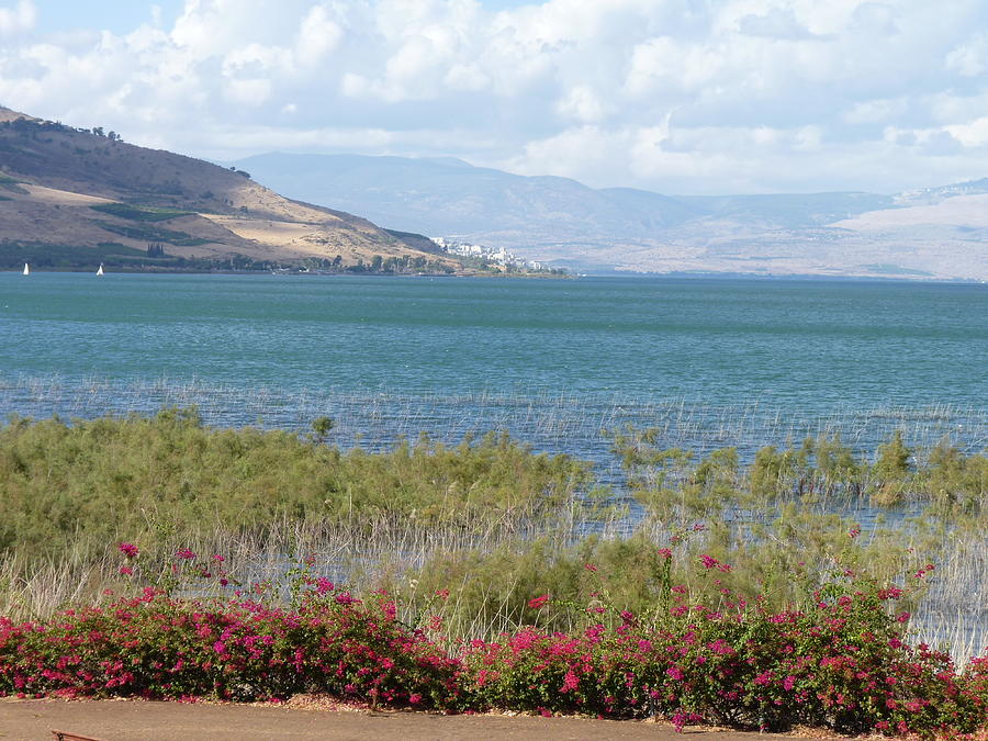 Peaceful day at the Kinneret Photograph by Rita Adams