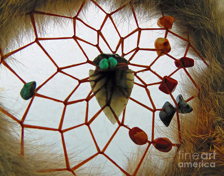 Spider Photograph - Peaceful Dreams Peaceful Home by Ausra Huntington nee Paulauskaite
