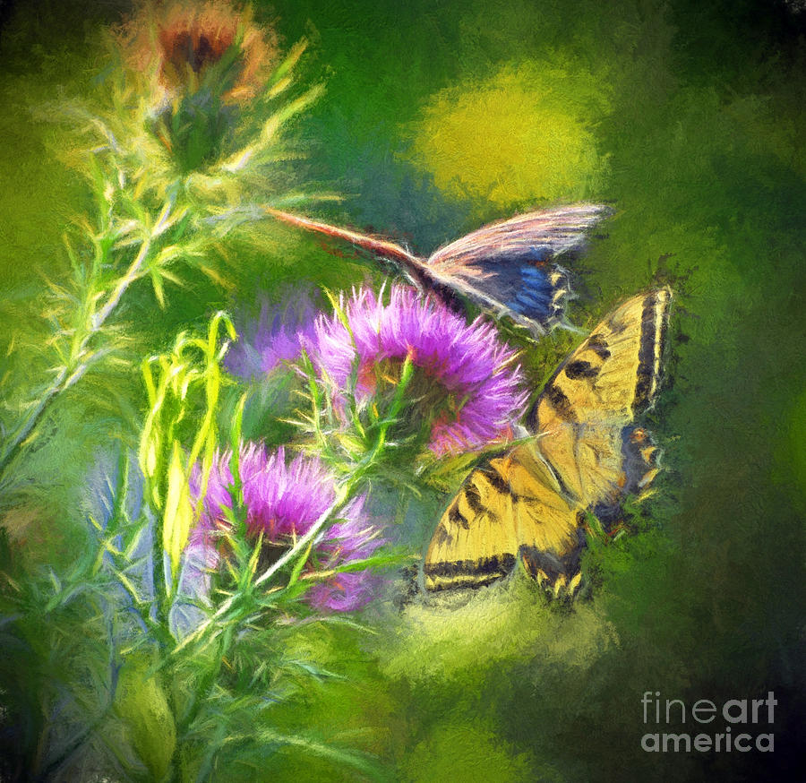 Butterfly Photograph - Peaceful Easy Feeling by Kerri Farley