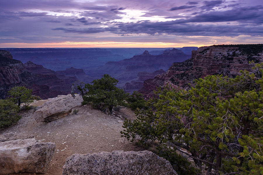 Peaceful Ending to a Day at Cape Royal North Rim Grand Canyon Photograph by Silvio Ligutti