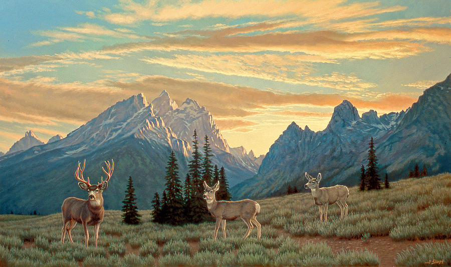 Deer Painting - Peaceful Evening - Tetons by Paul Krapf