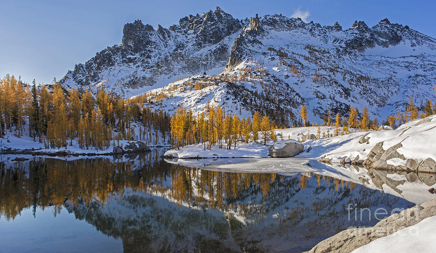 Enchantments Photograph - Peaceful Fall Larches by Mike Reid