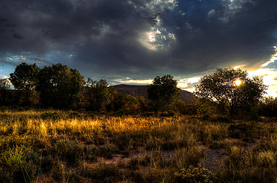 Peaceful Feeling by Chuck Summers Peaceful Feeling by Chuck Summers