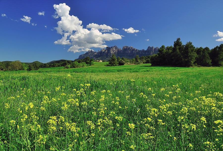 Peaceful Fields With Montserrat Behind Photograph by Sergi Boixader