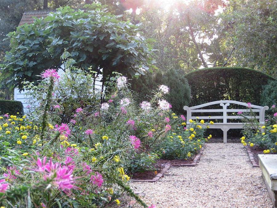 Peaceful Garden Retreat Photograph By Nancy Nehez