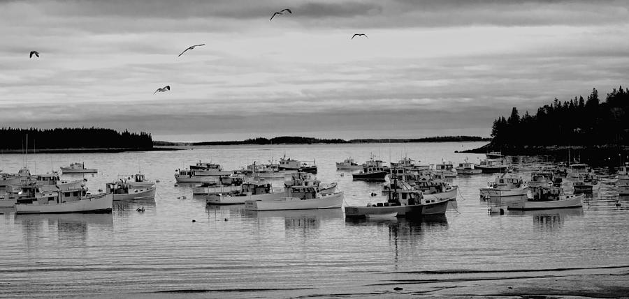 Peaceful Harbor in Black and White Photograph by Paul Mangold