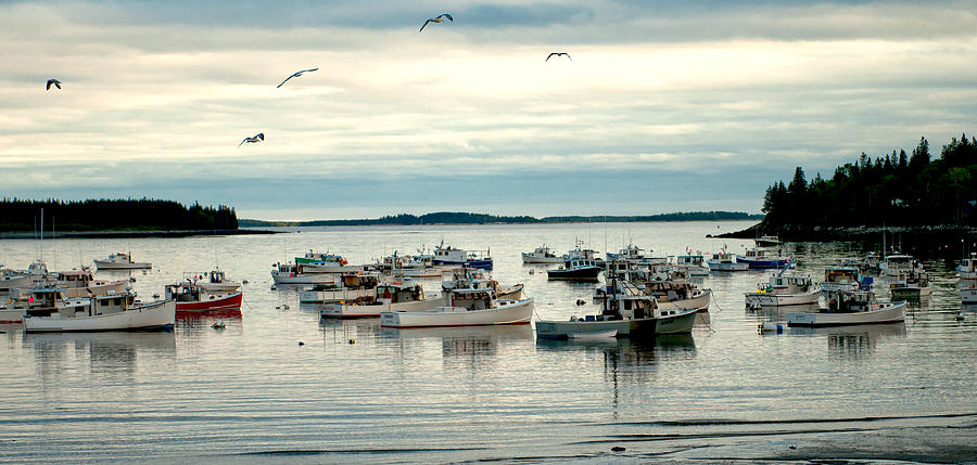 Peaceful Harbor Photograph by Paul Mangold