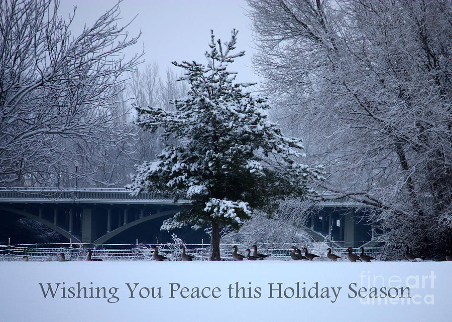 Peaceful Holiday Card - Winter Landscape Photograph by Carol Groenen