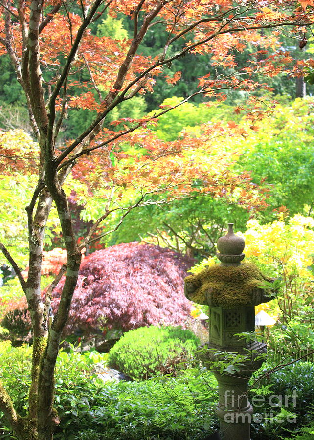 Peaceful Japanese Garden Photograph by Carol Groenen