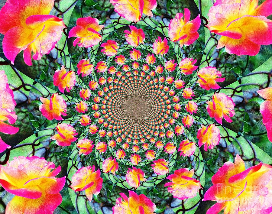 Peaceful Kaleidoscope Photograph by Judy Palkimas