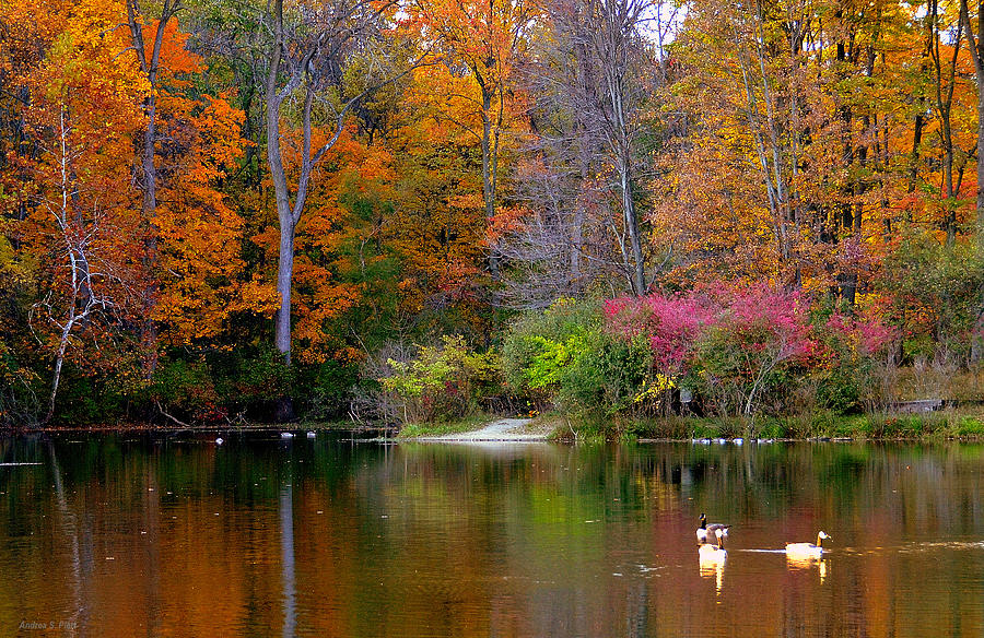 Peaceful Lake Photograph by Andrea Platt