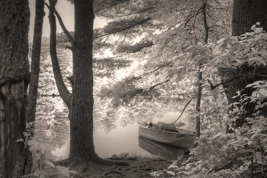 Tree Photograph - Peaceful Lake by David Troxel